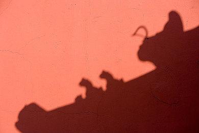 霍格沃茨模拟器《咒术师学院》现已推出正式版